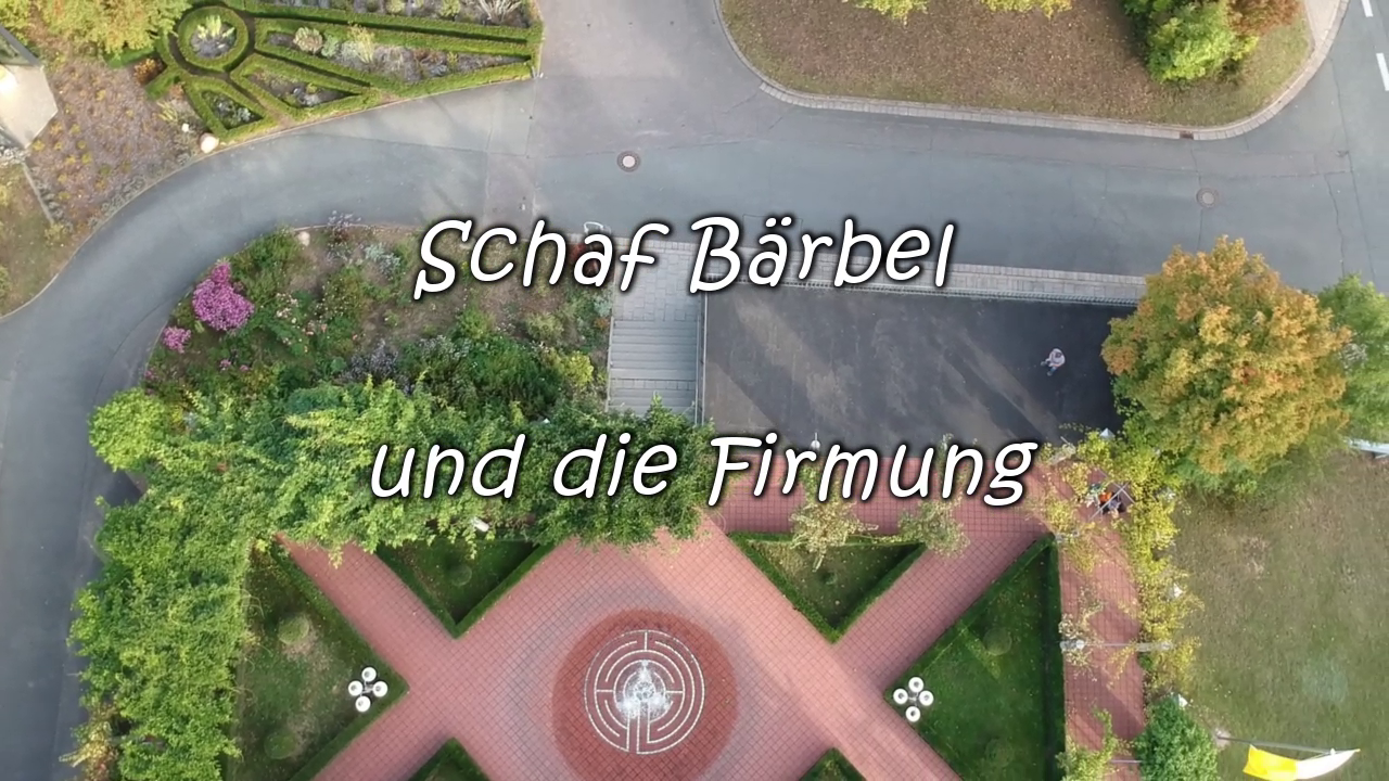 Schaf Bärbel und die Firmung
